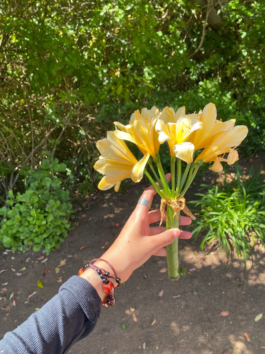 Natasha Arora and Kabir Dewan – Zindagi Na Milegi Dobara