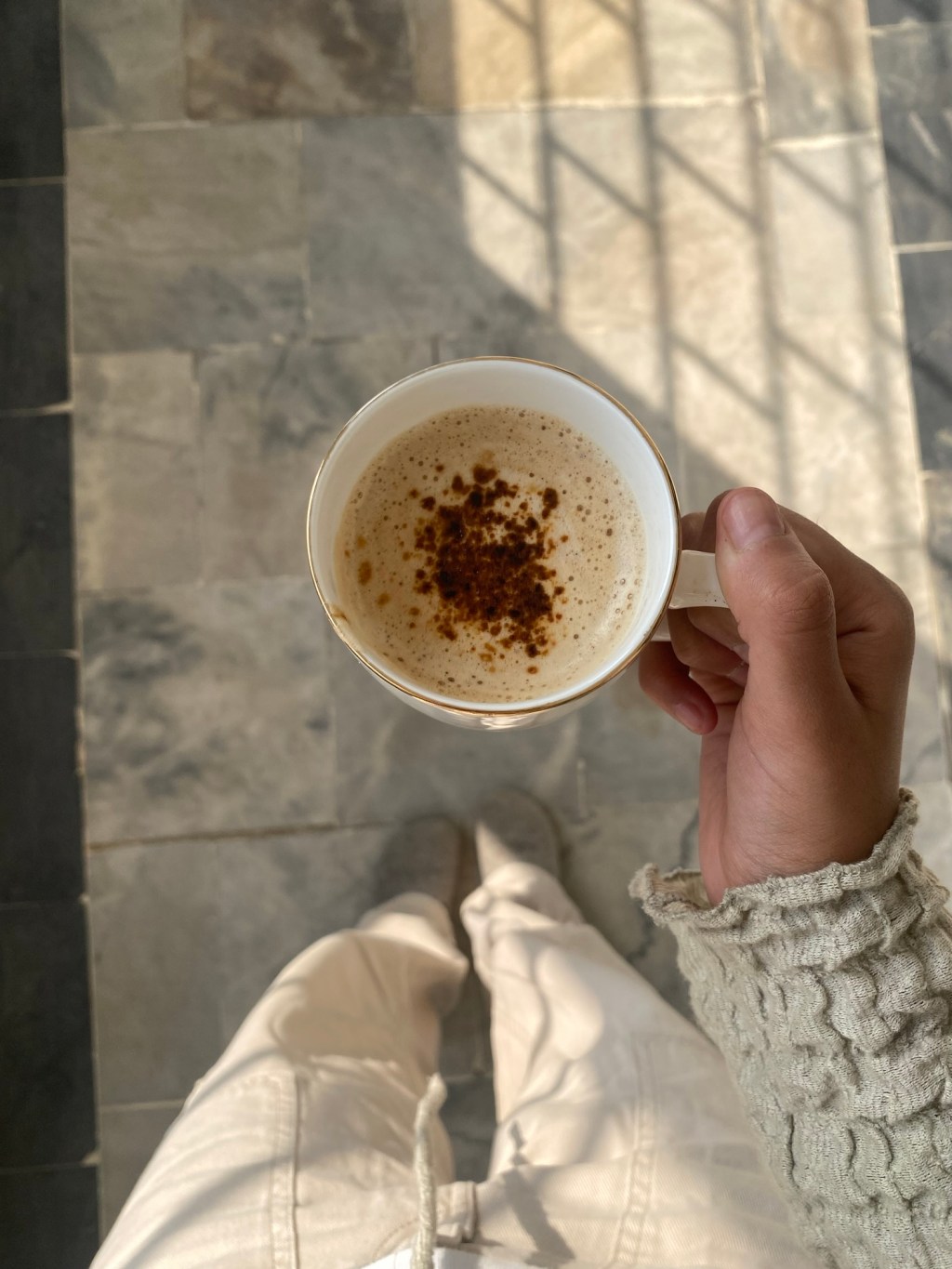 cats and the domestication&nbsp;epidemic